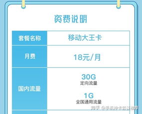 大王卡定向流量-大王卡定向流量详解