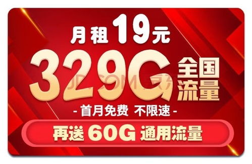 19元100g流量卡-19元100g流量卡