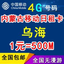 移动流量大王卡-移动流量大王卡助力出行，4g流量想用就用