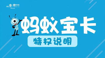 有什么便宜的流量卡-省钱专属，畅游互联-便宜流量卡最全攻略