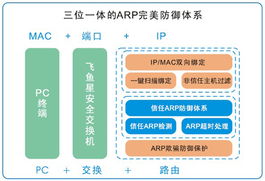 电信卡不限流量稳定快速的网络,解决流量限制问题
