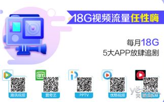 24元移动王卡定向流量“移动王卡定向流量,省钱高效上网攻略”
