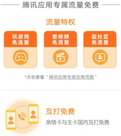 流量王卡申请稳定流量王卡如何申请, 详细说明办理流程