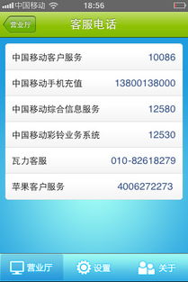 33卡怎么查流量流量查询方法,详解33卡怎样查询流量
