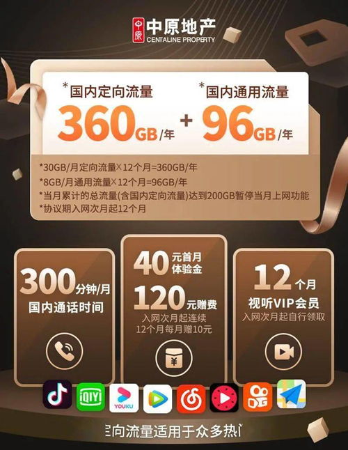 电信卡送流量便捷查询电信卡送流量优惠信息，解锁高速上网新体验