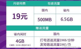无限流量日卡一天不限流！无限流量日卡，详细解析购买攻略