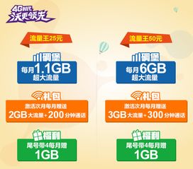 什么卡套餐流量多又便宜高性价比卡套餐，详细说明流量多又便宜的实用方法