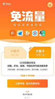 电信流量卡介绍“便捷省心！电信流量卡全面介绍”