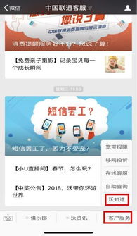 大王卡多少流量稳定省钱的大王卡套餐，详细说明流量使用方法