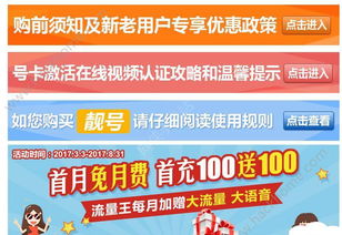 大王卡能不能开流量包搭配流量的大王卡，详细说明流量使用方式！