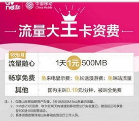广西移动流量日租卡高效省钱的移动网络体验，揭秘广西移动流量日租卡