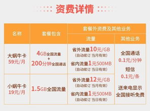 大王卡流量用完怎么解封大王卡流量用完解封方法，让您的上网畅通无阻！