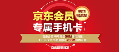 联通副卡可以充流量吗联通副卡充流量攻略，详解流量充值优惠及注意事项