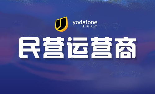 辽宁移动至尊流量卡高速流量,持续畅享！——辽宁移动至尊流量卡详细说明