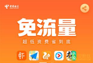 什么卡月租低流量多低月租卡流量多,选购指南和推荐