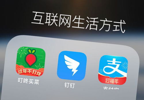 流量卡找我高效省钱的流量卡找我，为您解决上网难题
