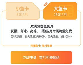 两个卡流量省钱折扣,如何选择流量套餐？