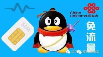 移动大流量卡怎么办理“移动大流量卡办理攻略：省钱省心，快人一步！”