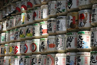 沃快流量日租卡6元套餐省钱攻略：6元沃快流量日租卡使用心得