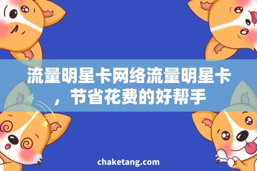 流量明星卡网络流量明星卡，节省花费的好帮手
