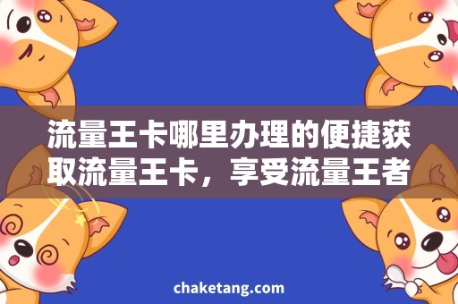 流量王卡哪里办理的便捷获取流量王卡，享受流量王者地位