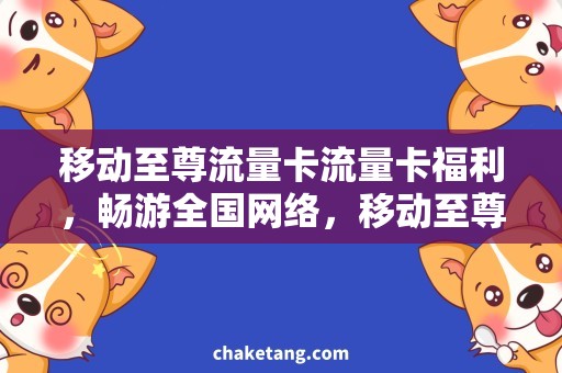 移动至尊流量卡流量卡福利，畅游全国网络，移动至尊流量卡详细解析