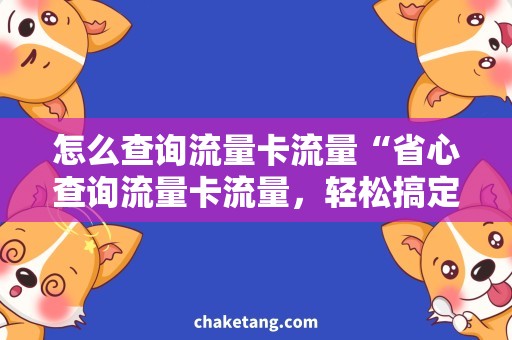 怎么查询流量卡流量“省心查询流量卡流量，轻松搞定上网需求”