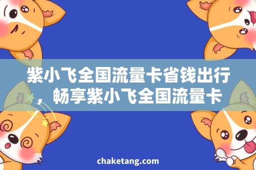 紫小飞全国流量卡省钱出行，畅享紫小飞全国流量卡