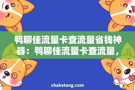 鸭聊佳流量卡查流量省钱神器：鸭聊佳流量卡查流量，省心省力！