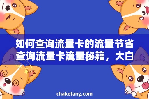 如何查询流量卡的流量节省查询流量卡流量秘籍，大白话让你轻松查询！