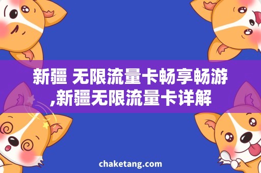 新疆 无限流量卡畅享畅游,新疆无限流量卡详解