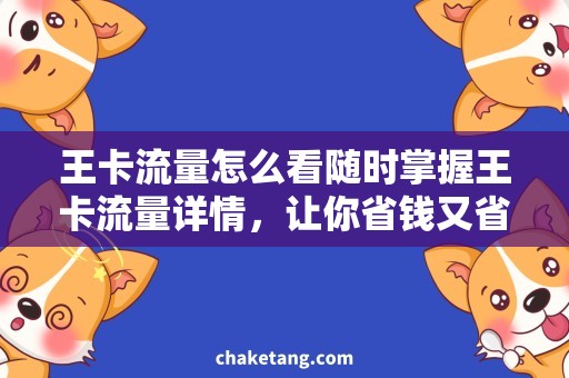 王卡流量怎么看随时掌握王卡流量详情，让你省钱又省心