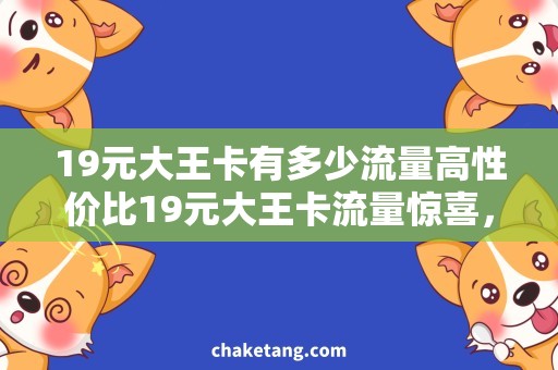 19元大王卡有多少流量高性价比19元大王卡流量惊喜，详细说明使用方法