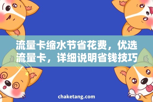 流量卡缩水节省花费，优选流量卡，详细说明省钱技巧