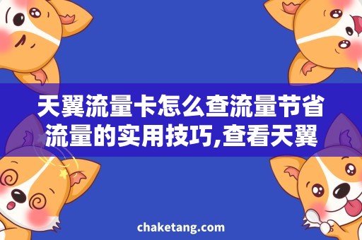 天翼流量卡怎么查流量节省流量的实用技巧,查看天翼流量卡使用情况
