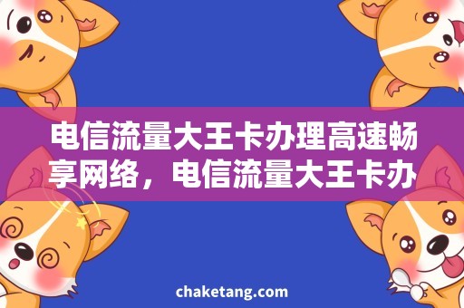 电信流量大王卡办理高速畅享网络，电信流量大王卡办理攻略