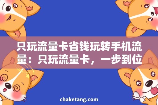 只玩流量卡省钱玩转手机流量：只玩流量卡，一步到位