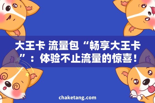 大王卡 流量包“畅享大王卡”：体验不止流量的惊喜！