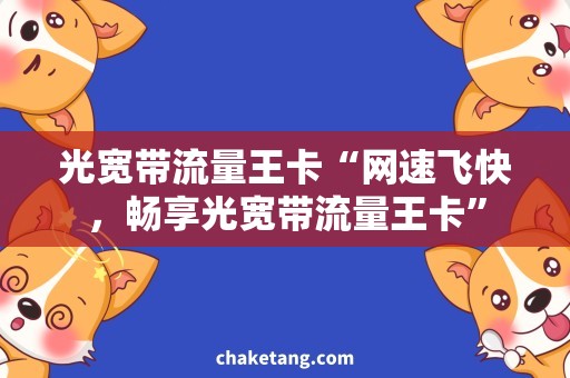 光宽带流量王卡“网速飞快，畅享光宽带流量王卡”