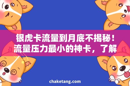 银虎卡流量到月底不揭秘！流量压力最小的神卡，了解一下