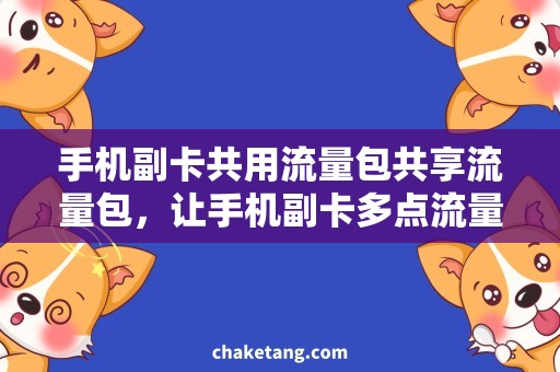 手机副卡共用流量包共享流量包，让手机副卡多点流量！