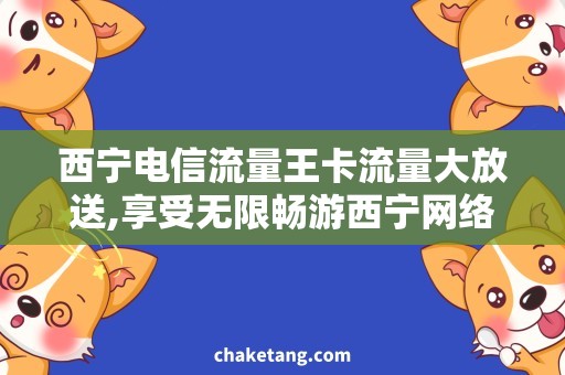 西宁电信流量王卡流量大放送,享受无限畅游西宁网络世界