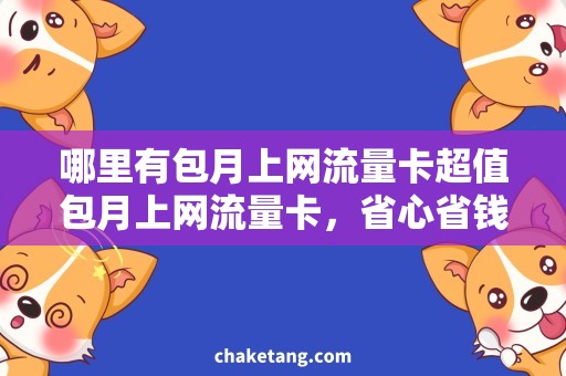 哪里有包月上网流量卡超值包月上网流量卡，省心省钱的上网利器！