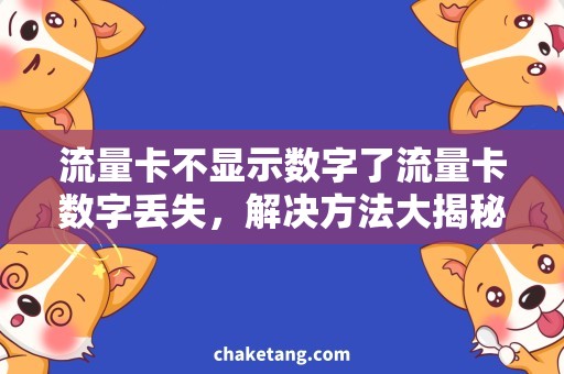 流量卡不显示数字了流量卡数字丢失，解决方法大揭秘