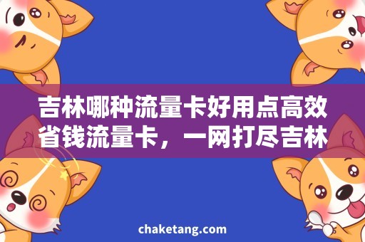 吉林哪种流量卡好用点高效省钱流量卡，一网打尽吉林流量卡推荐