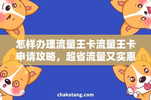 怎样办理流量王卡流量王卡申请攻略，超省流量又实惠！