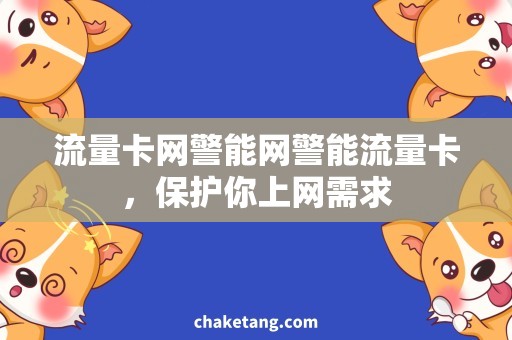 流量卡网警能网警能流量卡，保护你上网需求