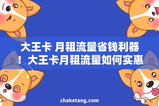 大王卡 月租流量省钱利器！大王卡月租流量如何实惠使用？