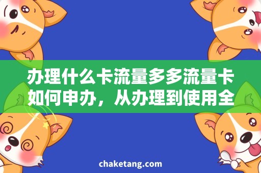 办理什么卡流量多多流量卡如何申办，从办理到使用全攻略