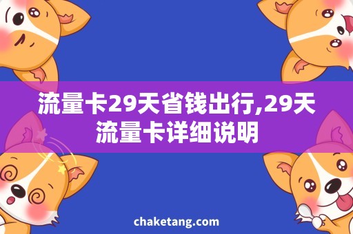 流量卡29天省钱出行,29天流量卡详细说明